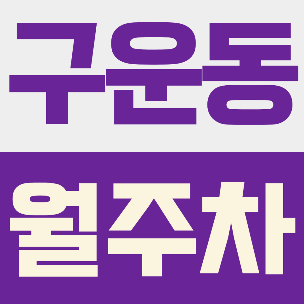구운동 월주차ㅣ단돈 29,000원?! 수원에서 이용할 수 있는 야간 월주차(18시~08시) 가성비 끝판왕 대표 이미지