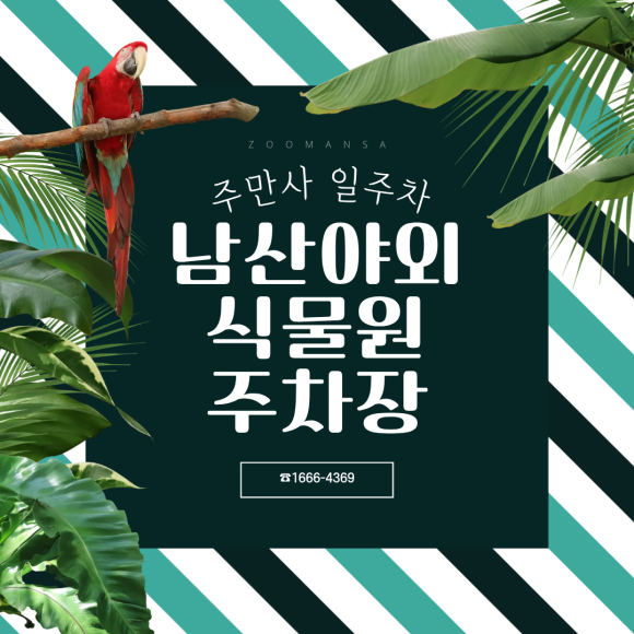 남산야외식물원 주차장, 밤 데이트·심야 드라이브 필수 코스! 전 차종 가능한 가성비 야간/심야 일주차 이용 가이드 대표 이미지