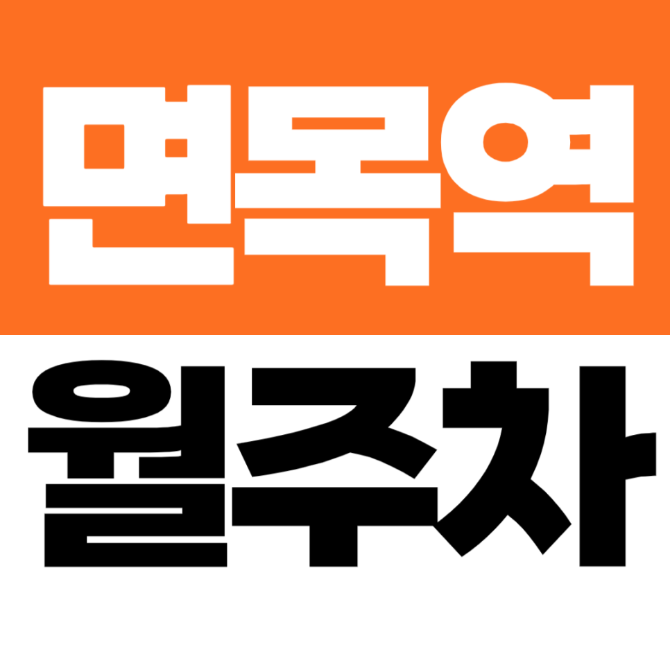 면목역 월주차 | 주민센터 길 건너! SUV도 가능한 정기주차장 추천 대표 이미지