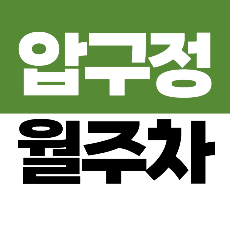 압구정역 월주차 현대백화점 도보 3분 거리 24시간 이용 가능한 자주식 주차장 대표 이미지