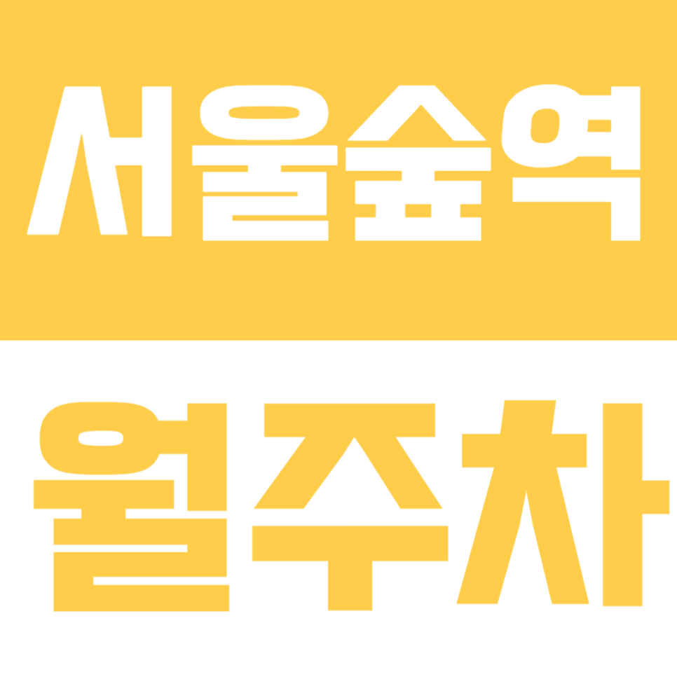 서울숲역 월주차 | 도보 6분, SUV까지 가능한 넓은 정기주차 공간 🚙 대표 이미지