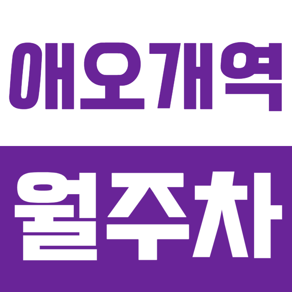 애오개역 월주차 | 역 도보 4분 역세권 연중무휴 24시간 실속형 기계식 정기 주차 대표 이미지