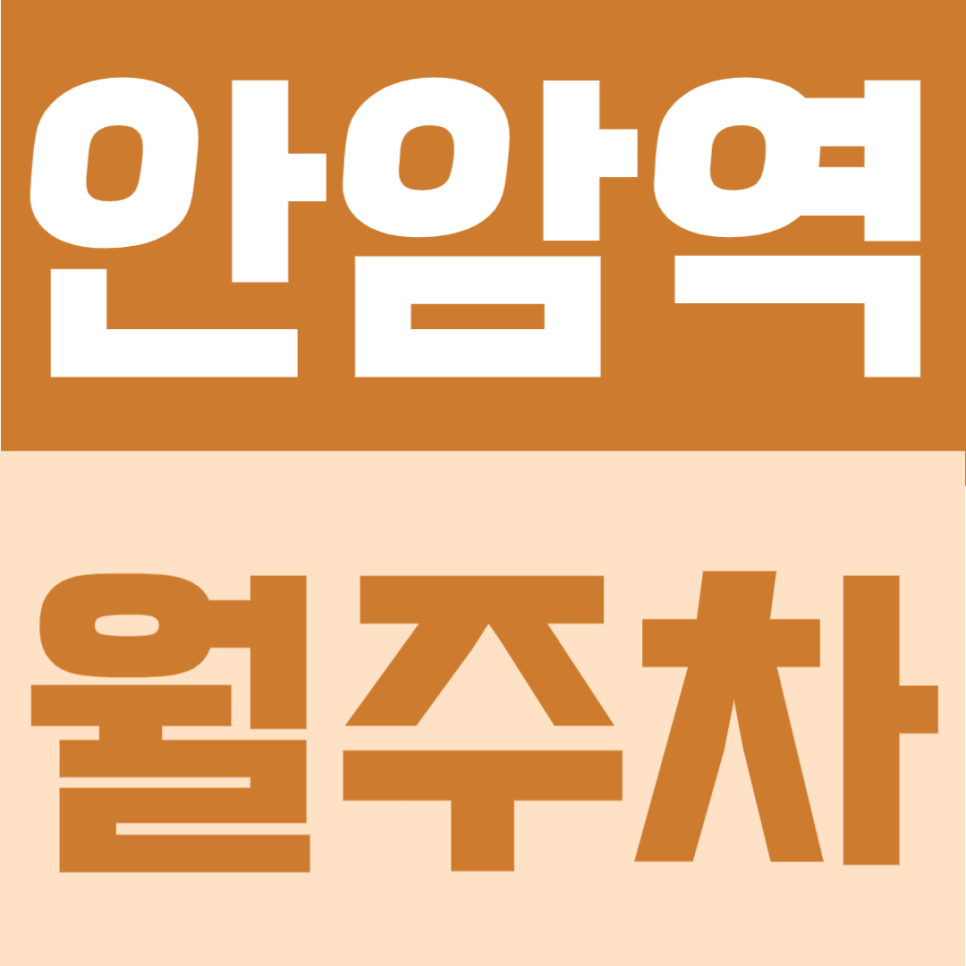 안암역 월주차 |고려대 인근의 대학가 생활권, 365일 24시간 이용 가능한 가성비 자주식 주차장 대표 이미지