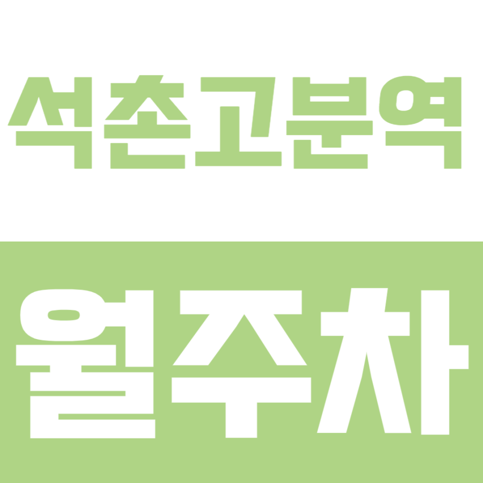 석촌고분역 월주차 | 9호선 석촌고분역 인근 365일 문콕 걱정 덜어주는 자주식 안심주차 대표 이미지