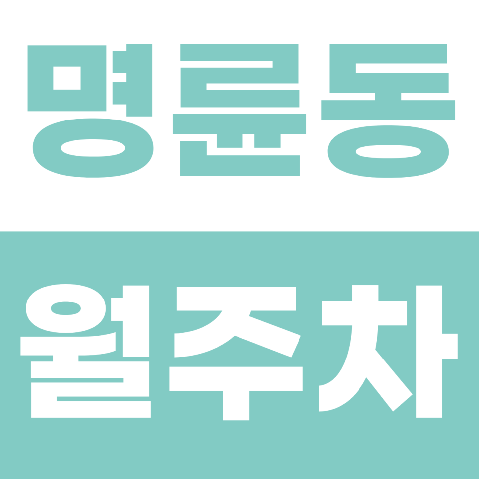 명륜동 월주차장 | 혜화동 '골목 전쟁' 종식! 성균관대 앞 나만 쓰는 자주식 지정석 대표 이미지