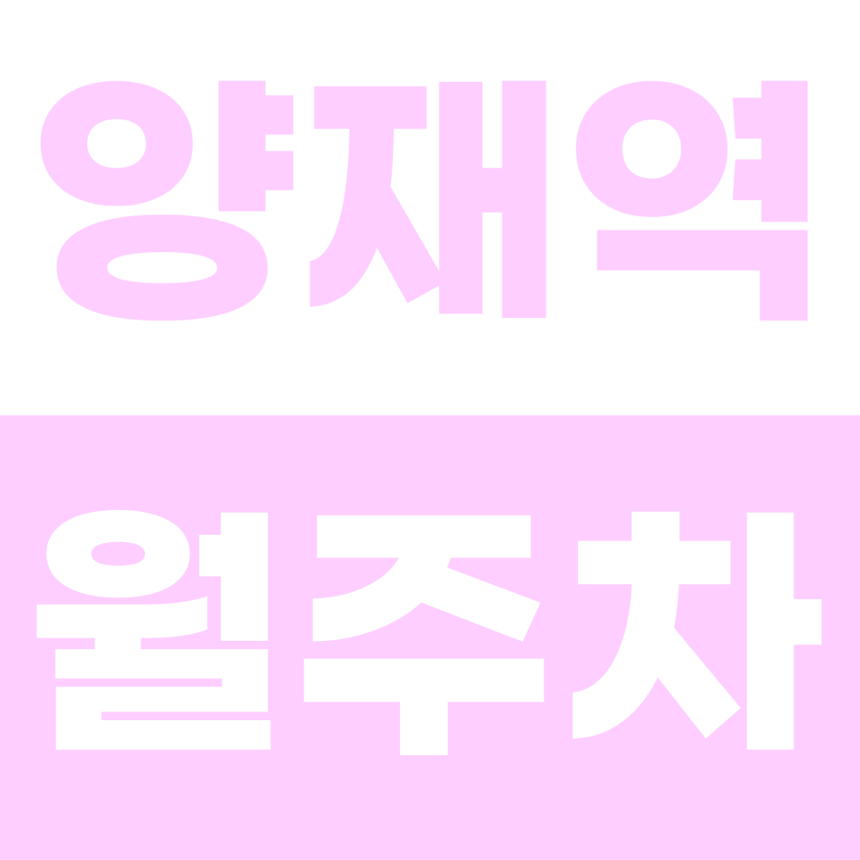 양재역 월주차 | 강남대로 출근길 '주차 미로' 탈출! SUV도 가능한 지정석 환승 명당 대표 이미지