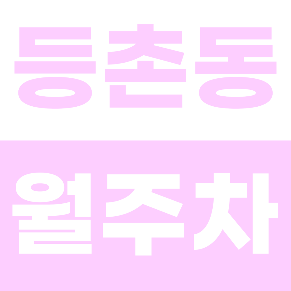 등촌동 월주차 | NC백화점 바로 옆! SUV도 편안한 자주식 단일 주차 명당 대표 이미지