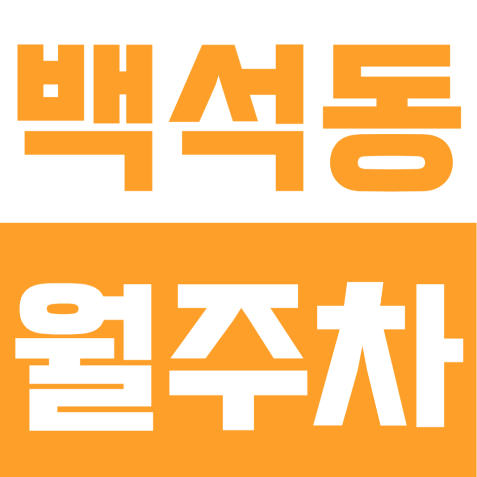 백석동 월주차 | 백석역 도보 5분, 월 9만원대로 부담 없는 평일 전용 실속형 정기주차장 대표 이미지