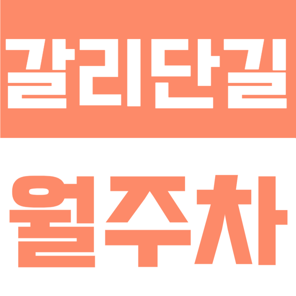 갈리단길 월주차 | 대전 둔산동 핵심 생활권, SUV까지 가능한 24시간 자주식 정기주차장 대표 이미지