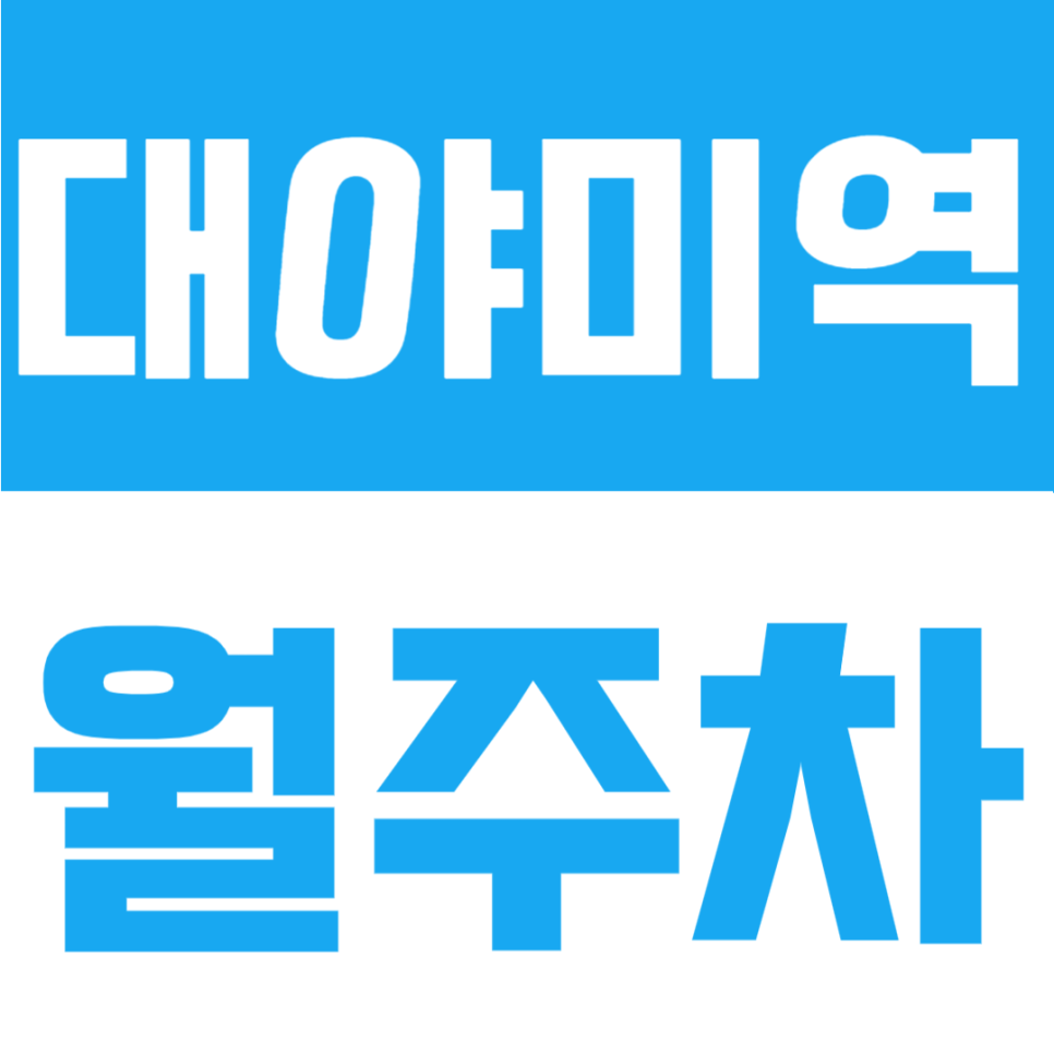 대야미역 월주차 | 도보 4분 역세권, 월 6만원대 24시간 가성비 정기주차장 대표 이미지