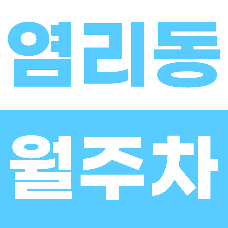 염리동 월주차 | 마포의 중심에서 실속 찾기! 세단 오너를 위한 12만 원대 안심 기계식 명당 대표 이미지