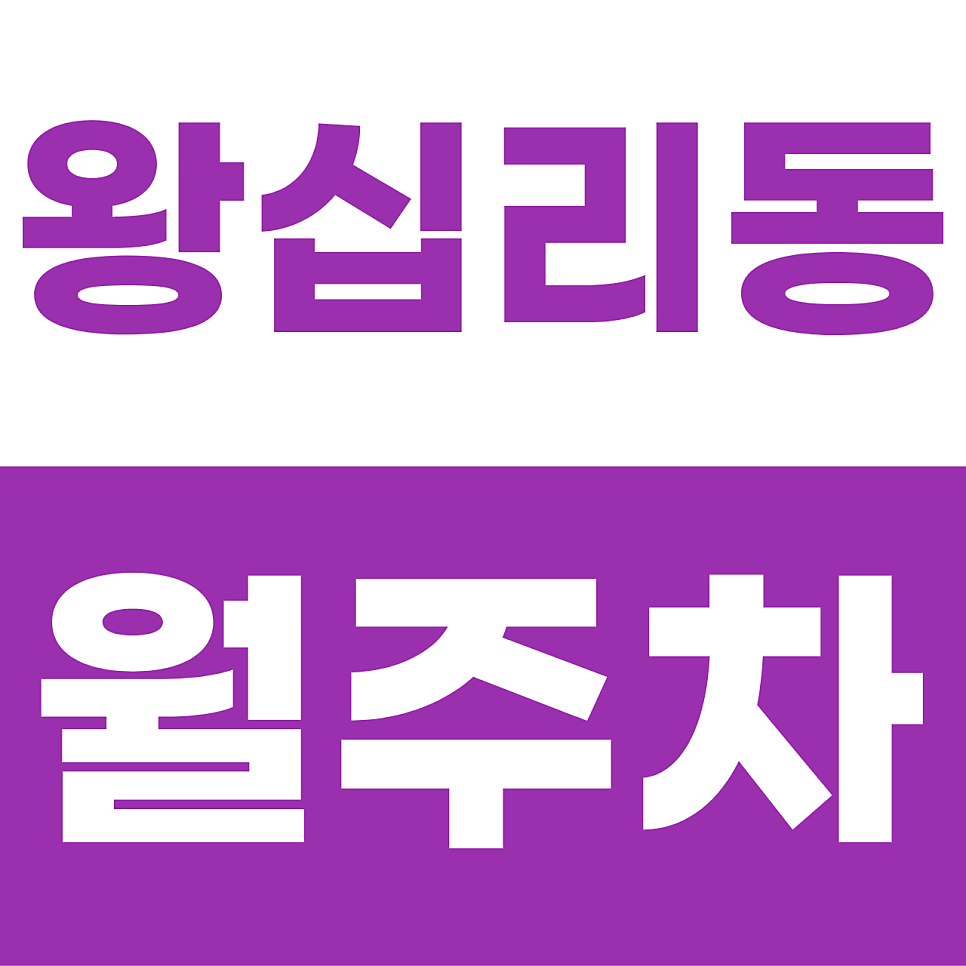 왕십리동 월주차 | 서울 한복판 9만 원의 기적! 세단 오너를 위한 초가성비 기계식 명당 대표 이미지