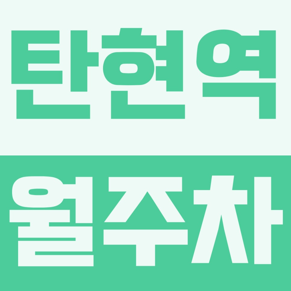 탄현역 월주차 | 탄현역 도보 5분, 10만원대 스트레스 없는 자주식 주차장 완벽 리뷰 대표 이미지