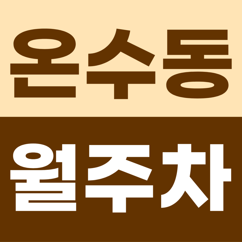 온수동 월주차 | 평일 9 to 6 출근러의 워라밸 수호자! 6만 원대 단일 자주식 명당 대표 이미지