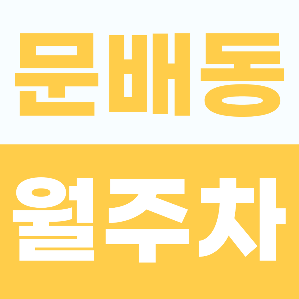 문배동 월주차 | 용산의 주차 끝판왕 등장! 1톤 탑차부터 오토바이까지 전 차종 환영하는 단일 자주식 명당 대표 이미지