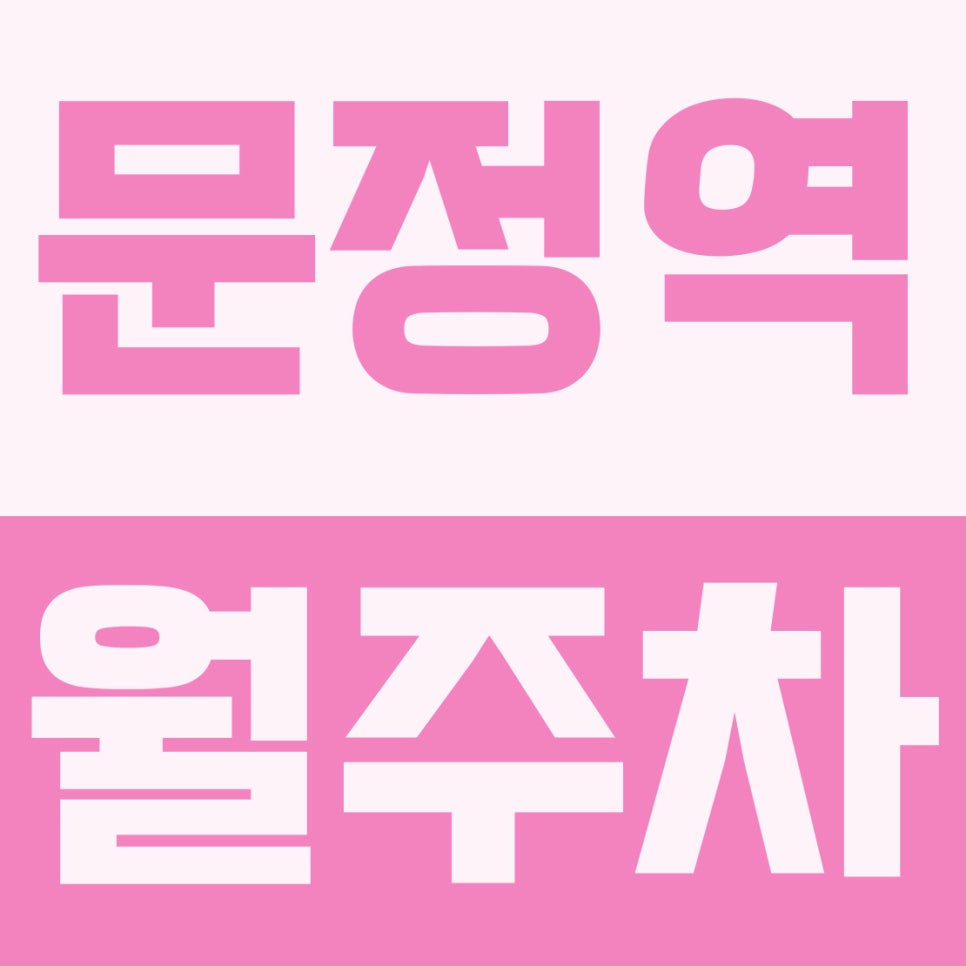문정역 월주차 | 법조타운 8분! 1t 화물차·RV도 거뜬한 25만 원대 자주식 주차장 대표 이미지