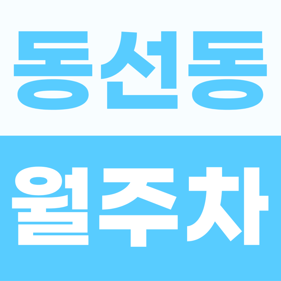 동선동 월주차 | 성신여대역 앞, 내 차를 위한 프리미엄 지하 벙커! 대형 SUV도 안심하는 단일 자주식 명당 대표 이미지