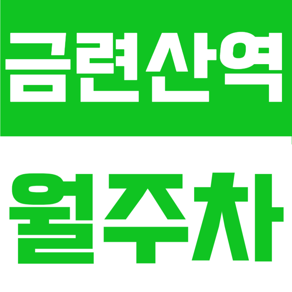 금련산역 월주차 | 광안리 근처 주차 전쟁 끝! 1번 출구 6분, 24시 안심 기계식 보금자리 대표 이미지