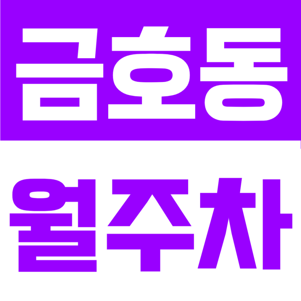 금호동 월주차 | 무수막1길 월정기권 24시간 전일권 160,000원 대표 이미지
