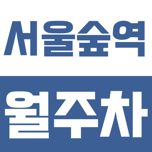 서울숲역 월주차ㅣ서울숲역 가성비 야간 월주차, 하루 48,000원으로 완벽한 심야 안심 주차 명당 대표 이미지