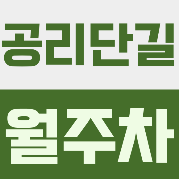 공리단길 월주차ㅣ캠핑카, 1t 탑차 주차 자리 찾으시나요? 공릉동 역대급 차종 수용 월주차 추천! 대표 이미지