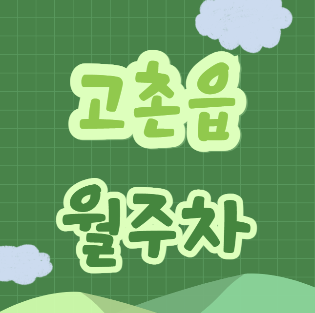고촌읍 월주차 / 고촌역 바로 앞, 역세권, 신규 주차장, 인근 마지막 매물 대표 이미지