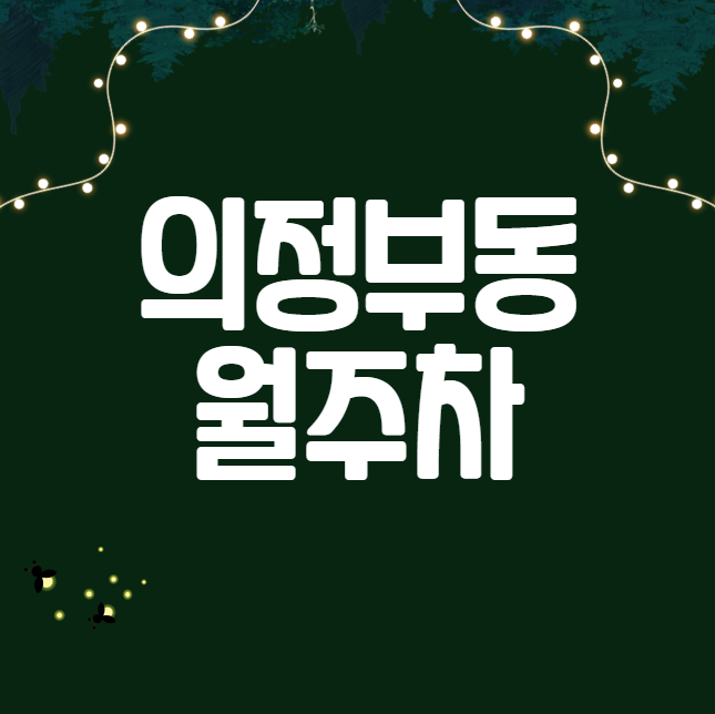 의정부동 월주차 / 의정부역 1번출구 도보4분, 역세권, 신규 주차장 대표 이미지