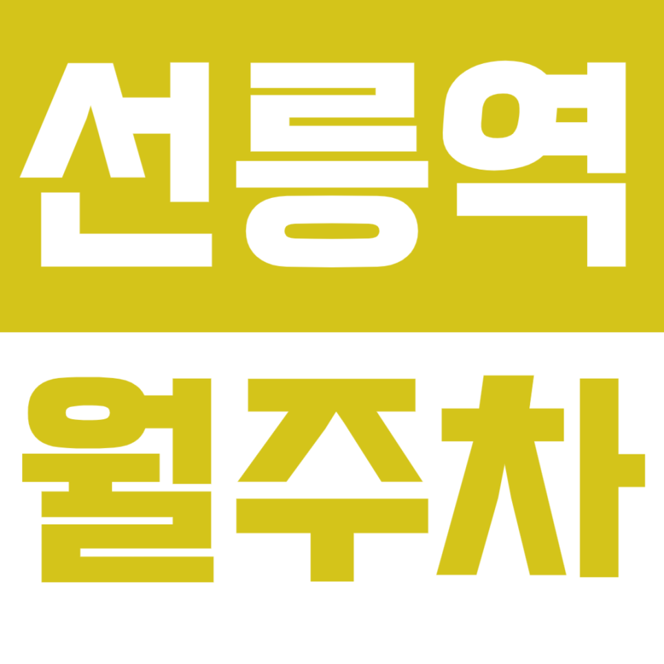선릉역 월주차 10번출구 바로 앞 단일주차, 놓치지 마세요! 대표 이미지