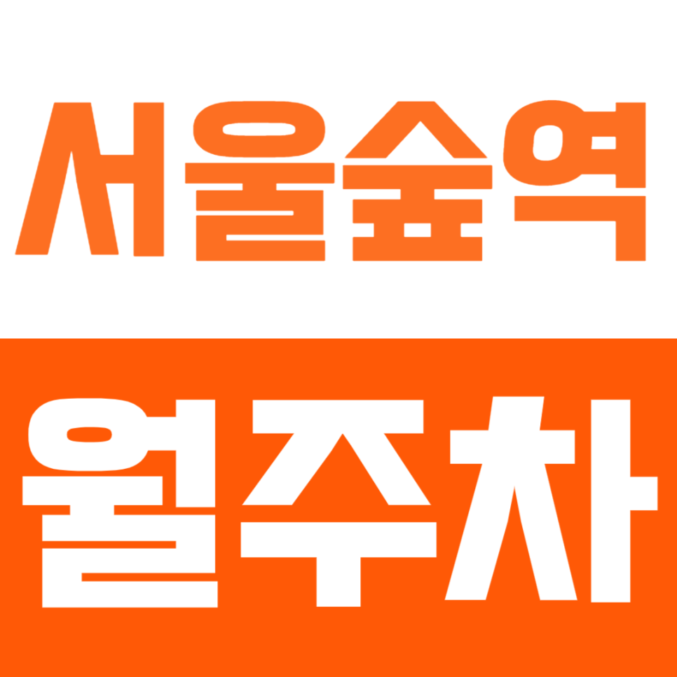 서울숲역 월주차_10만원대 가성비 주차장을 소개합니다 대표 이미지