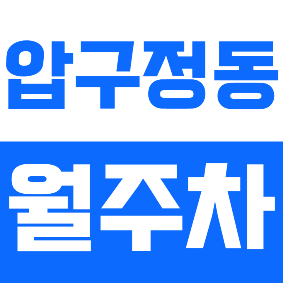 압구정동 월주차_압구정역 인근 편리함 갑 역세권 주차장 이용방법 대표 이미지
