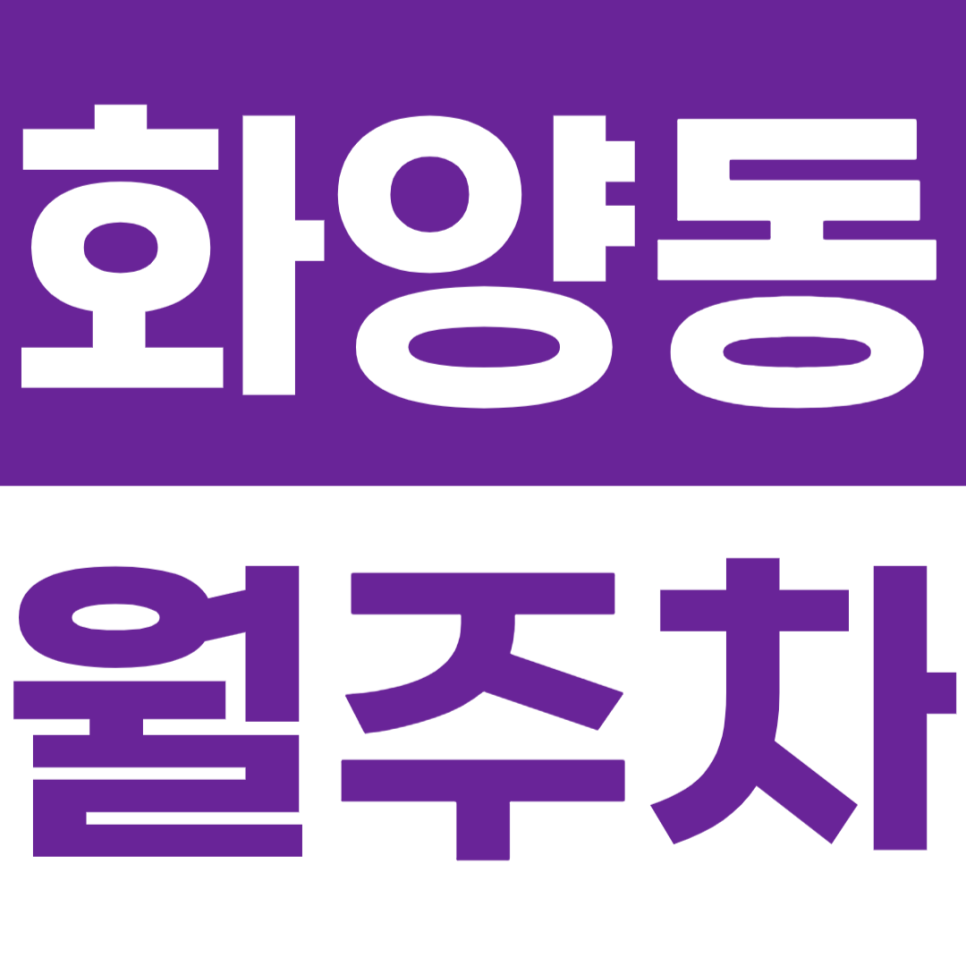 화양동 월주차_어린이대공원역 건대입구역 건대 맛집거리 인근 편리한 주차 공간 추천 대표 이미지