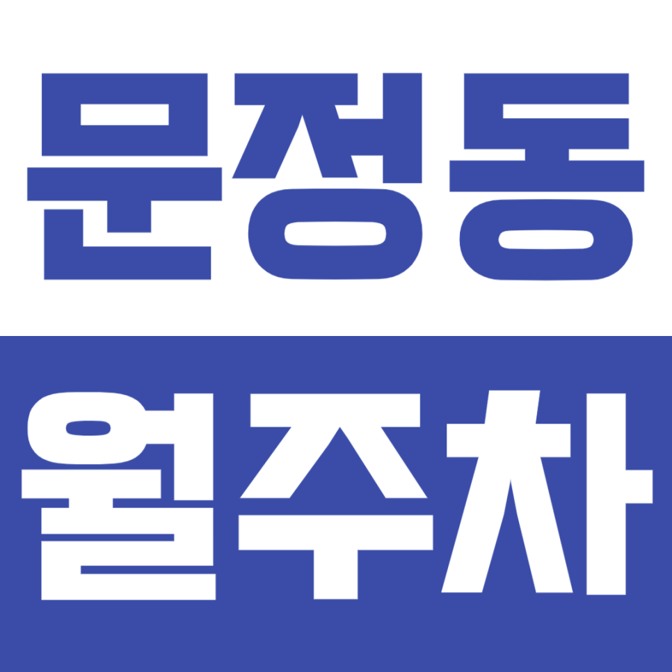 문정동 월주차 문정동 인근 24시간 주차장 추천 대표 이미지