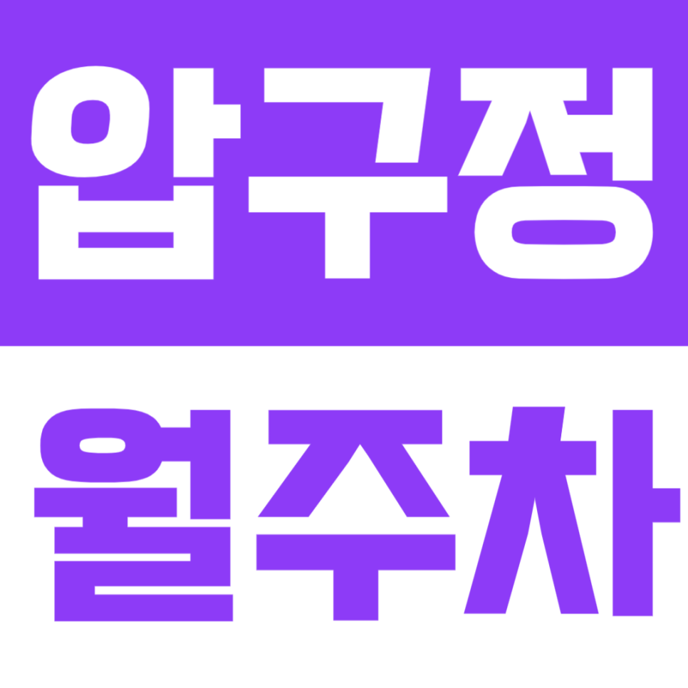 압구정 월주차 | 도산대로 압구정로데오역 청담동 주차 고민 끝내드려요 대표 이미지