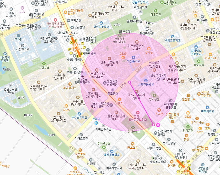 백석동 월주차 | 일산동구 마두역 인근의 월정기 주차장 소개해드려요