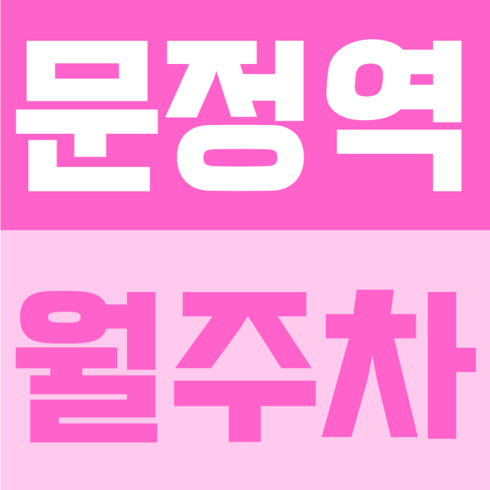 문정역 월주차 | 2번출구 바로 앞 도보 1분 초역세권의 월 10만원대 정기주차 안내 대표 이미지