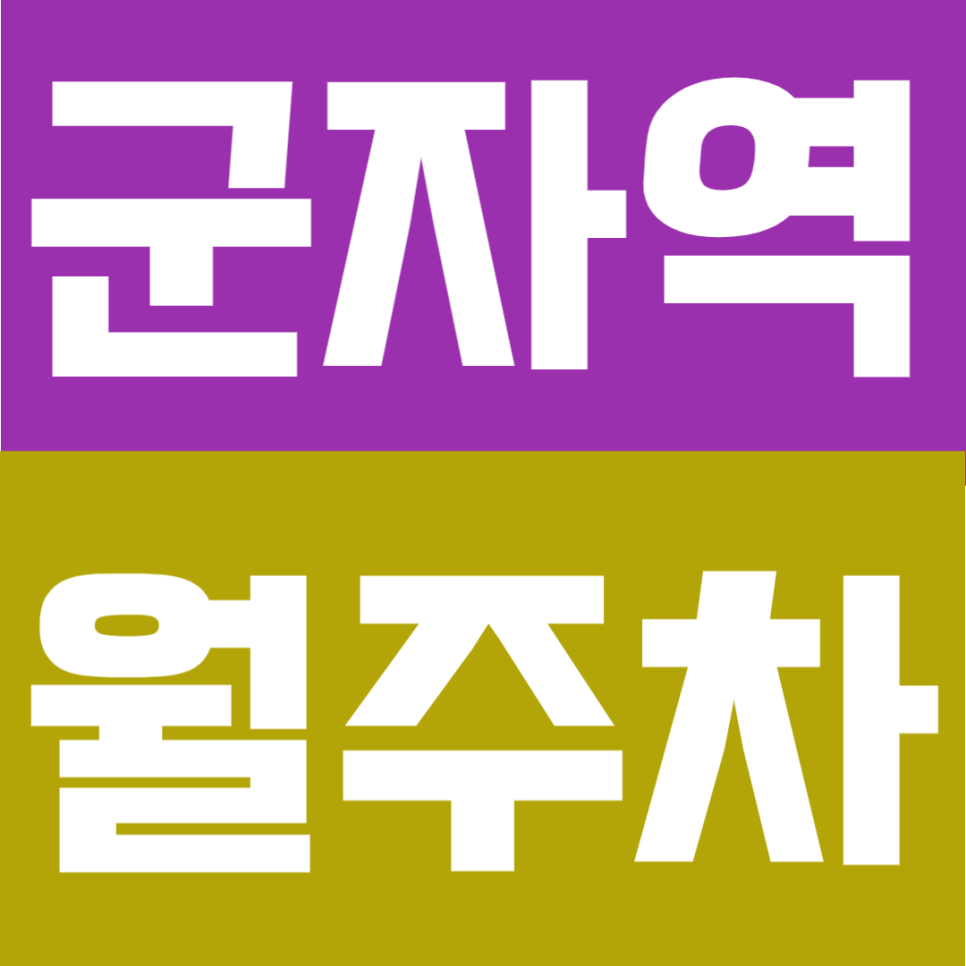 군자역 월주차 | 8번출구 도보 3분 초역세권의 월 9만원대 초가성비 정기주차로 24시간 이용 가능 대표 이미지