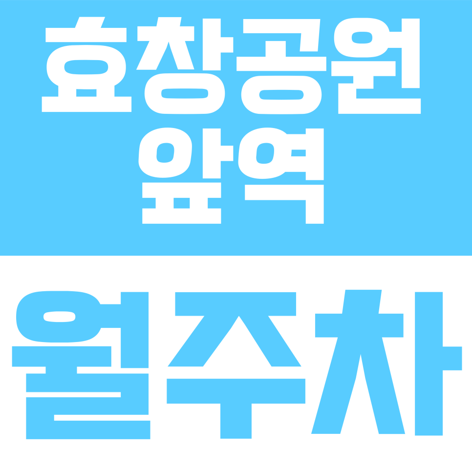 효창공원앞역 월주차 | 효창공원앞역 6호선·경의중앙선 역세권, 24시 연중무휴 지정석 주차 정보 대표 이미지