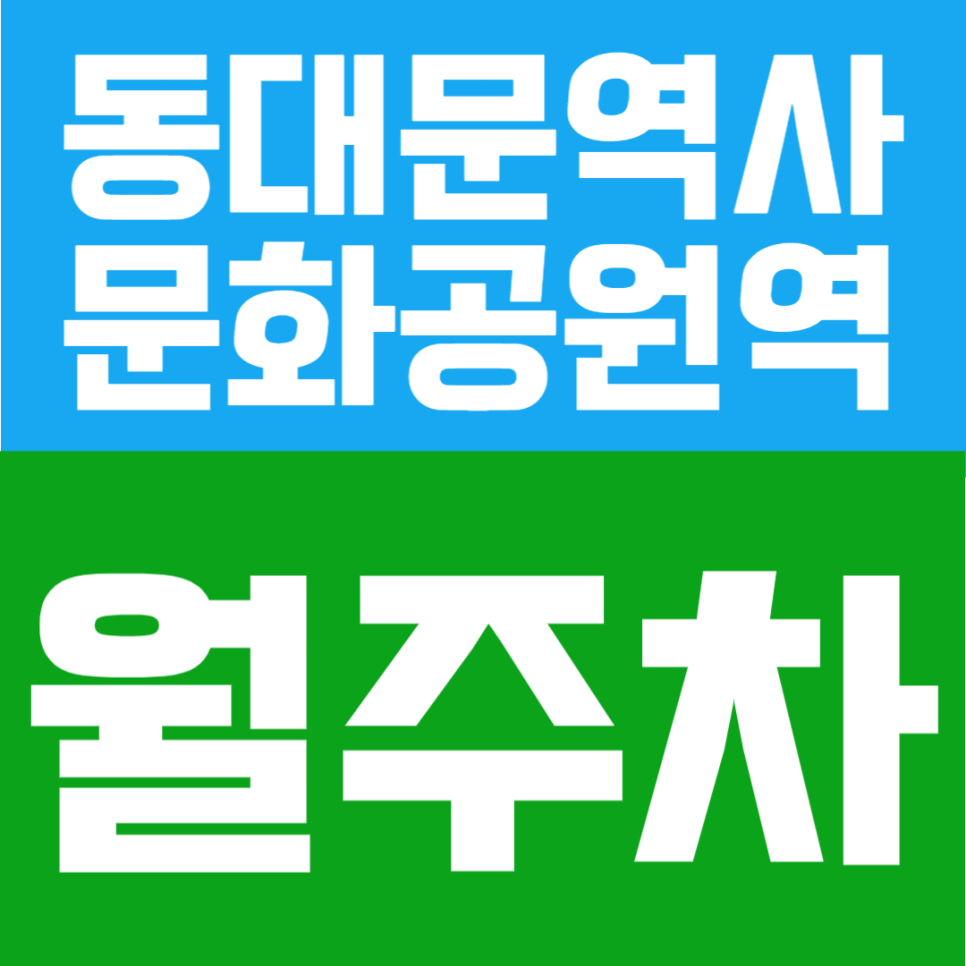 동대문역사문화공원역 월주차 | 14번 출구 도보 1분 초초역세권! SUV 가능 24시간 정기주차장 대표 이미지