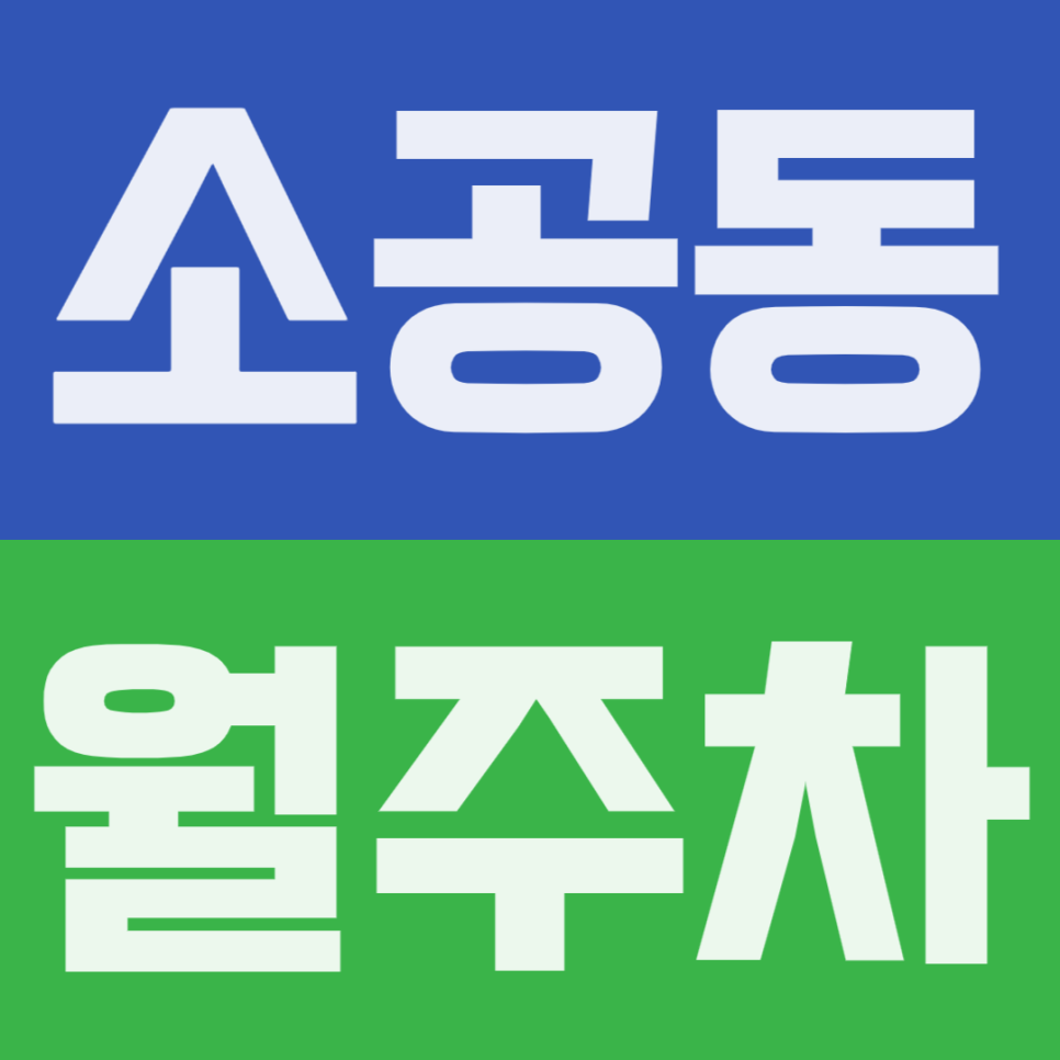 소공동 월주차 | 서울시청·덕수궁 돌담길 4분 거리! 출퇴근 스트레스 날리는 넓은 월주차장 공유 대표 이미지