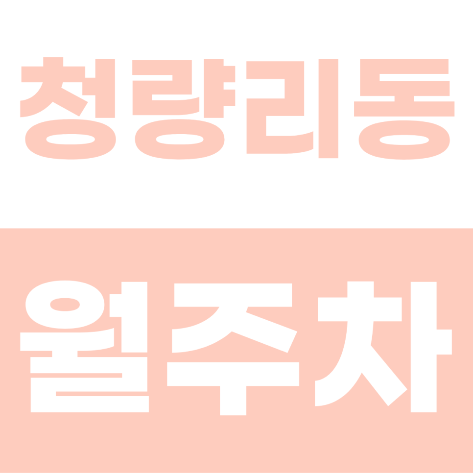 청량리동 월주차 | 대형 세단·SUV 환영! 복합 역세권 속 단일 자주식 명당 대표 이미지