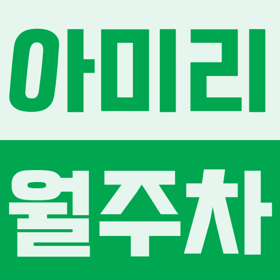 아미리 월주차 | 늦은 밤 교대근무 퇴근도 맘 편히, 언제든 차 빼기 쉬운 단일 자주식 파킹존 대표 이미지