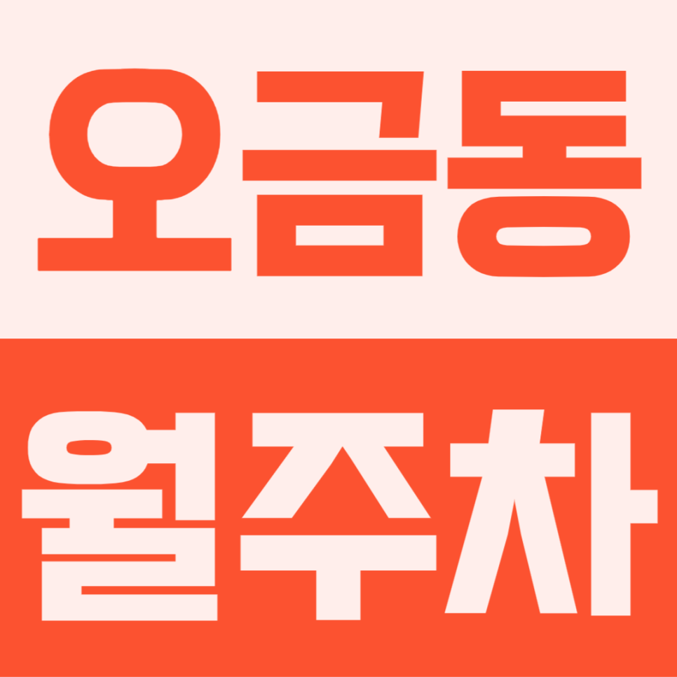 오금동 월주차 | 월 16만원으로 퇴근길 삶의 질 상승, SUV 무난하게 입고되는 24시간 파킹존 대표 이미지