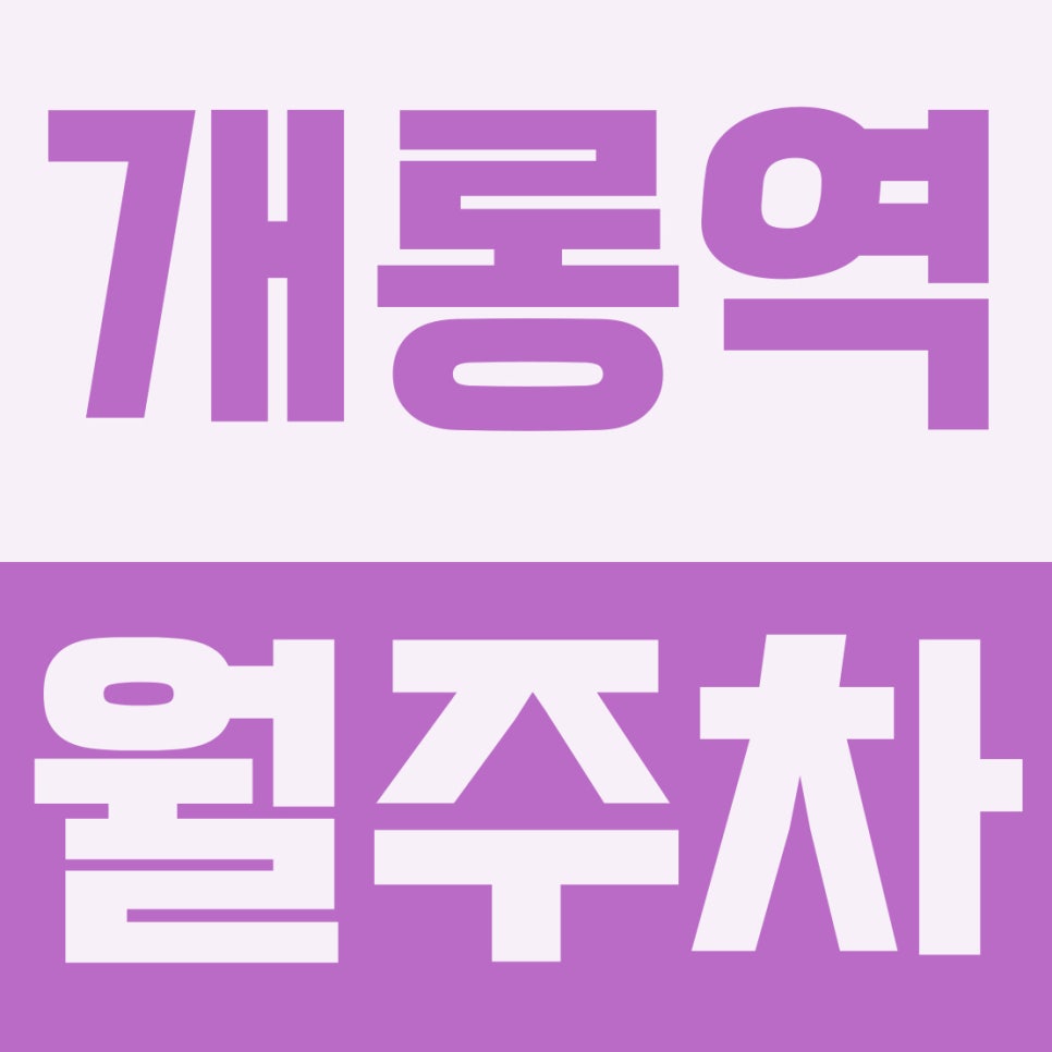개롱역 월주차 | 가락동 보인중·고 학세권, 바로 쓰는 24시간 자주식 주차장 대표 이미지