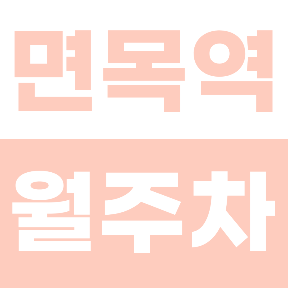 면목역 월주차 | 1년 이상 장기 주차 대환영! 카니발도 쏙 들어가는 이중주차 없는 단일 자주식 명당 대표 이미지