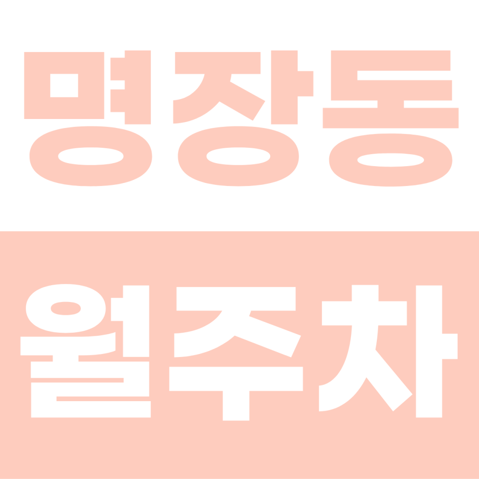 명장동 월주차 | 부산 금정구의 놀라운 갓성비! SUV도 부담 없는 5만 원대 자주식 명당 대표 이미지