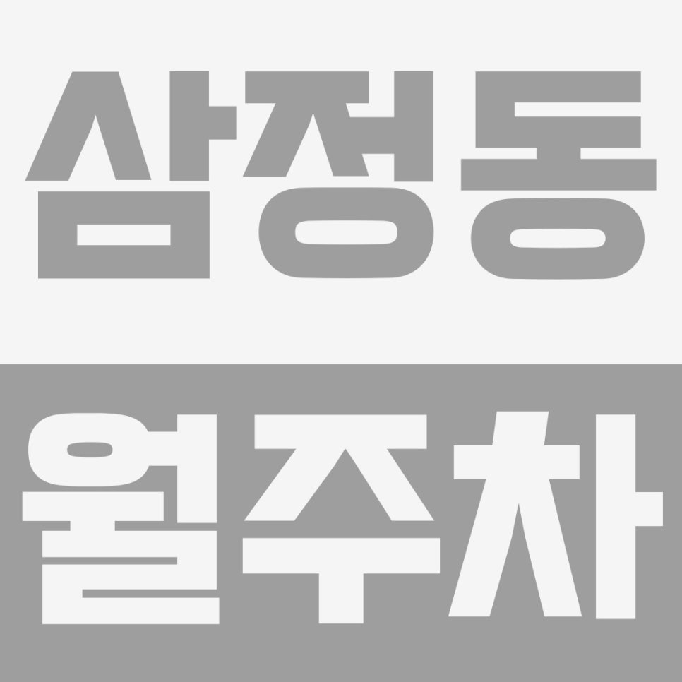 삼정동 주차장 | 부천 삼정동 공단 출퇴근러 월주차 필수 체크리스트 (내동사거리 인근) 대표 이미지