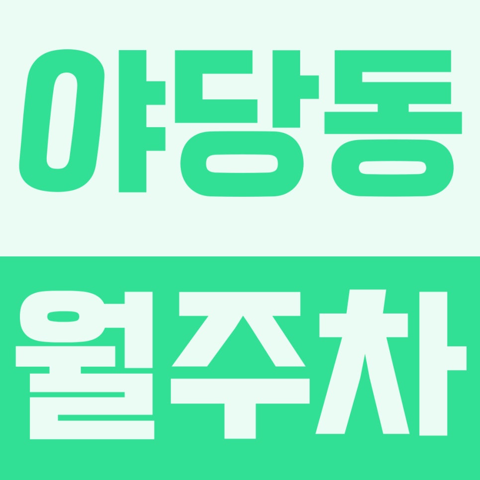 야당동 월주차 | 빌라촌 좁은 골목 긁힘 스트레스 탈출 썰 (세단 전용 24시) 대표 이미지