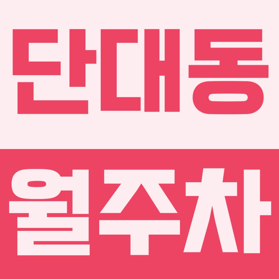 단대동 월주차 | 속보 경차 오너 구원할 24시 명당 대표 이미지