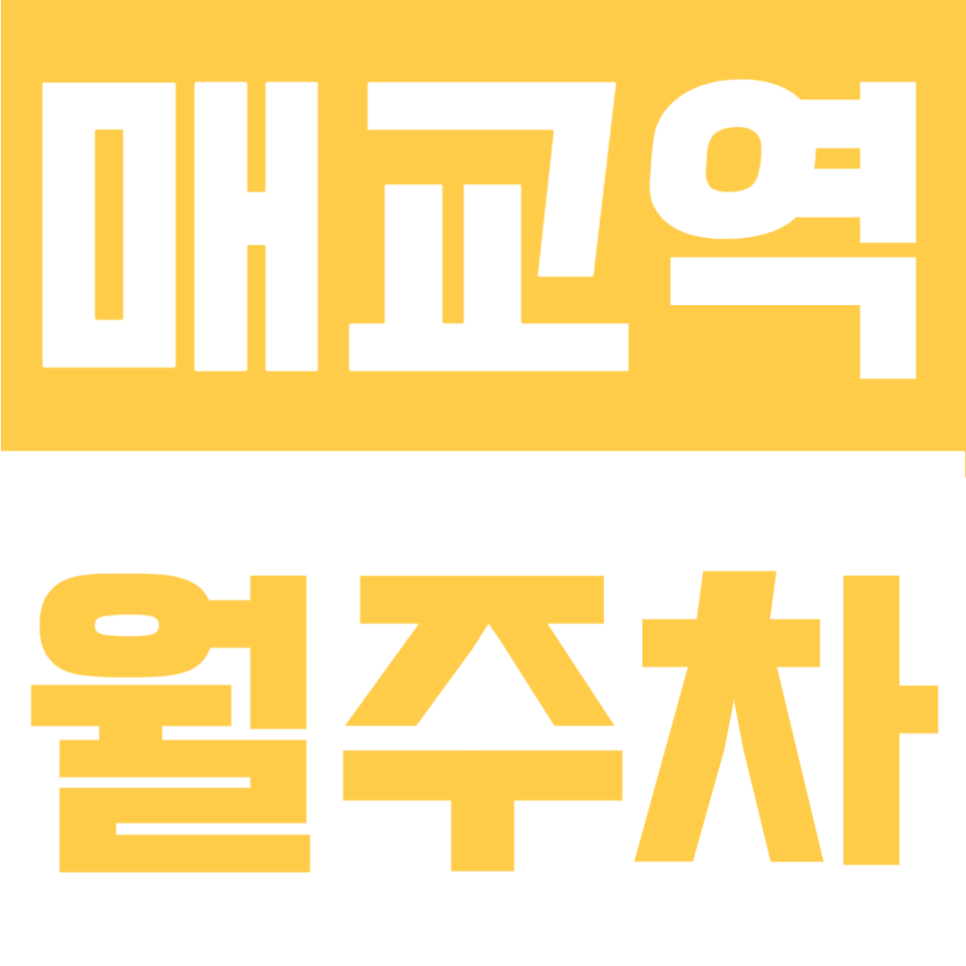 매교역 월주차 | 수원 팔달구 인계로 자주식 자리, 매달 주차 고민 끝내세요! 대표 이미지