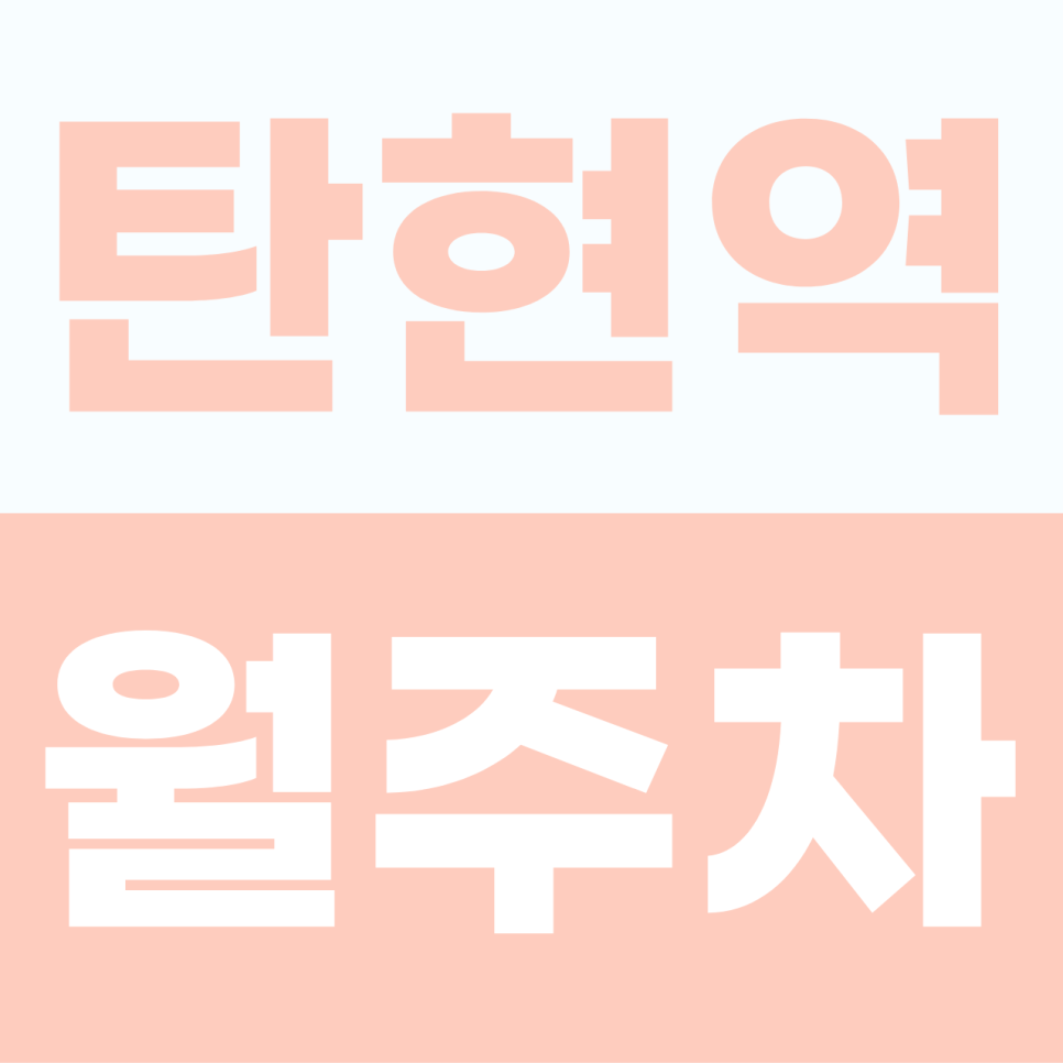 탄현역 월주차 | 일현로 주차난을 잠재울 나만의 쾌적한 거점 정기권 대표 이미지